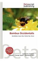 Bombus Occidentalis: (English)