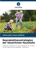 Reproduktionsstrategien der bäuerlichen Haushalte