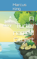 A Turtle named Gilbert