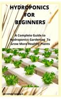 Hydroponics for Beginners
