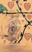 realidad esclarece