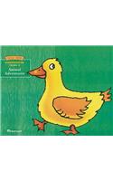 Animal Adventures
