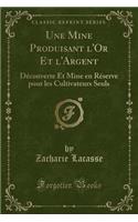 Une Mine Produisant l'Or Et l'Argent