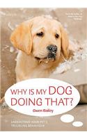 Why Is My Dog Doing That?: Understand your pet's troubling behaviour