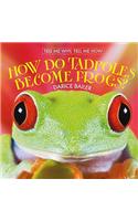 How Do Tadpoles Become Frogs?