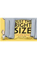 Just the Right Size