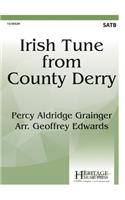 Irish Tune from County Derry