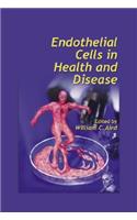 Endothelial Cells in Health and Disease