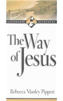 The Way of Jesus: (Saltshaker Resources)