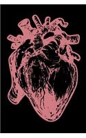 Anatomy Notebook Heart Surgeon