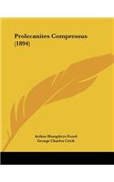 Prolecanites Compressus (1894)