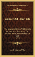 Wonders Of Insect Life