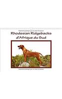 Rhodesian Ridgebacks d'Afrique du Sud 2017