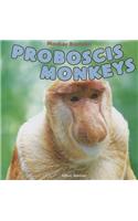 Proboscis Monkeys