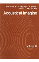 Acoustical Imaging