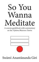 So You Wanna Meditate