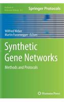 Synthetic Gene Networks: Methods and Protocols