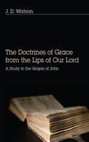 Doctrines of Grace from the Lips of Our Lord: A Study in the Gospel of John