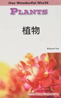 Plants: Chinese: (Our Wonderful World)