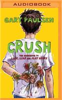 Crush: The Theory, Practice and Destructive Properties of Love