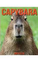 Capybara