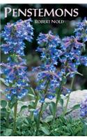 Penstemons