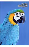 Ara Bleu 2020 Agenda: Oiseau - 139 Pages - 12 Mois - Format A5 - Agenda - Journalier - Planificateur - Semainier Simple - Calendrier - Organizer