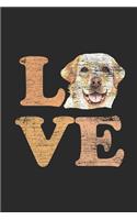 Love Labrador