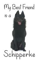 My best Friend is a Schipperke
