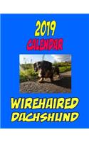2019 Calendar Wirehaired Dachshund: Dog Weekly Calendar, Personal Contacts List, Password Log, Notes and to Do List