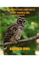 Barred Owl