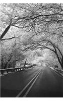 Winter Journal: Highway Through Snowy Overhanging Trees, Soft Cover, Ruled Notebook/Journal/Diary (257 P. 6x9)