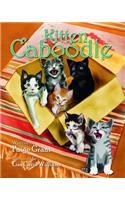 Kitten Caboodle