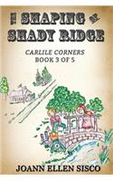 The Shaping of Shady Ridge