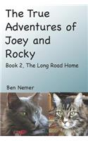 The True Adventures of Joey and Rocky