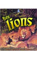 Les Lions