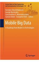 Mobile Big Data