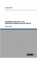 Intelligente Netzwerke - Von skalenfreien Netzen und Small Worlds
