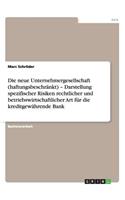 Die neue Unternehmergesellschaft (haftungsbeschränkt) - Darstellung spezifischer Risiken rechtlicher und betriebswirtschaftlicher Art für die kreditgewährende Bank