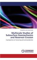 Multiscale Studies of Subsurface Geomechanics and Reservoir Erosion