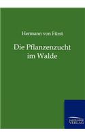 Pflanzenzucht im Walde