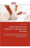 Apnées du sommeil, vigilance et mémoire chez l''humain