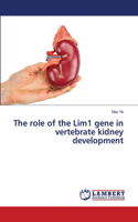 The role of the Lim1 gene in vertebrate kidney development