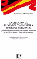 La usucapion de elementos comunes en la propiedad horizontal: Â¿Pueden los propietarios de pisos o locales apropiarse de superficies comunes por el paso del tiempo?