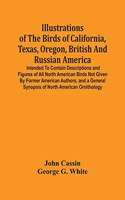 Illustrations Of The Birds Of California, Texas, Oregon, British And Russian America.: Intended To Contain Descriptions And Figures Of All North American Birds Not Given By Former American Authors, And A General Synopsis Of North Ameri