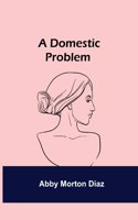 Domestic Problem
