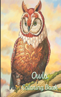 Owls Coloring Book: A painting fun for children and adults. Book Cover 7