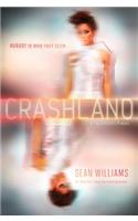 Crashland: (2 Twinmaker)