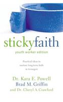 Sticky Faith, Youth Worker Edition