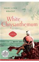 White Chrysanthemum